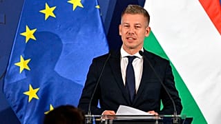Hungarian Prime Minister Peter Magyar