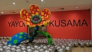 Amsterdam’daki Stedelijk Müzesi