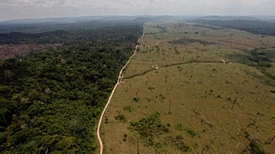 Dieses Archivfoto vom 15. September 2009 zeigt ein abgeholztes Gebiet nahe Novo Progresso im nördlichen brasilianischen Bundesstaat Pará.