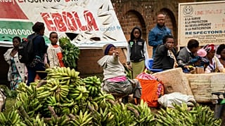 Épidémie d’Ebola en RDC : plus de 7 000 cas recensés 