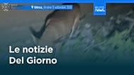 Le notizie del giorno | 14 settembre 2026 - Mattino