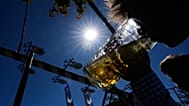 A young man drinks beer as he erects a traditional maypole in Kuehbach, Germany, on Friday 1 May 2026.