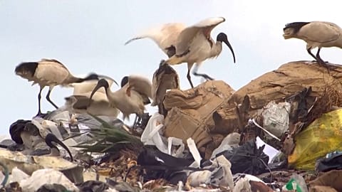 Waste accumulates at a landfill site in Collie, Western Australia.