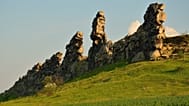 Teufelsmauer Weddersleben e.V. // Heinz Sielmann Stiftung