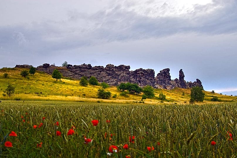 Im Landkreis Harz in Sachsen-Anhalt zieht sich mit der Teufelsmauer eine Felsformation durch das nördliche Harzvorland, die aus hartem Sandstein der oberen Kreidezeit besteht.