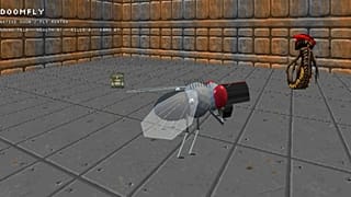 Doomfly adlı girişimde sanal meyve sineği Doom evrenine kondu.