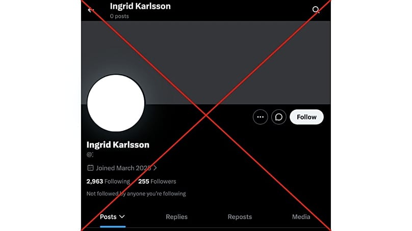 Bot account with a stolen photograph and listed by X as being based in Benin, West Africa. 