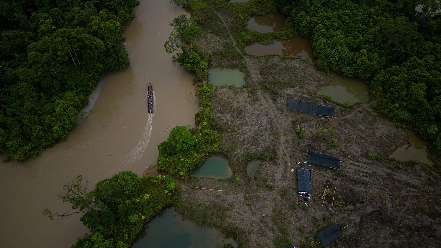 A boat carrying gasoline to for illegal mining machinery maneouvres past an area that was mined and is being reforested by Asociacion Nuestra Casa Comun, Amazon, 2024.
