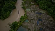 A boat carrying gasoline to for illegal mining machinery maneouvres past an area that was mined and is being reforested by Asociacion Nuestra Casa Comun, Amazon, 2024.