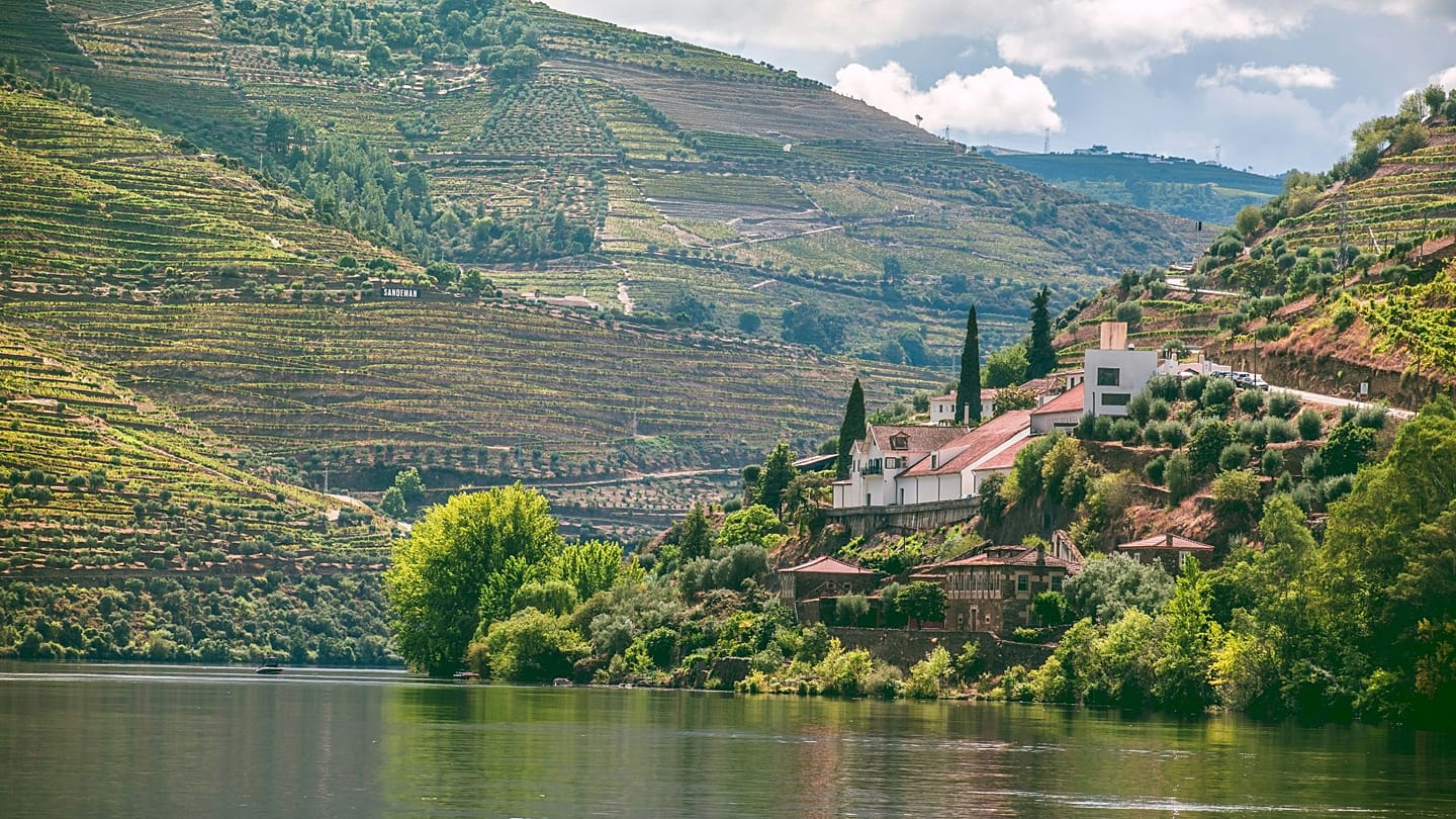euronews.com - Dianne Apen-Sadler - The best food and drink tours worth travelling for