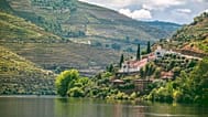 Tripadvisor has just revealed the best food and drink tours around the globe, and it includes one around Portugal's Douro Valley (pictured)