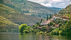 Tripadvisor has just revealed the best food and drink tours around the globe, and it includes one around Portugal's Douro Valley (pictured)