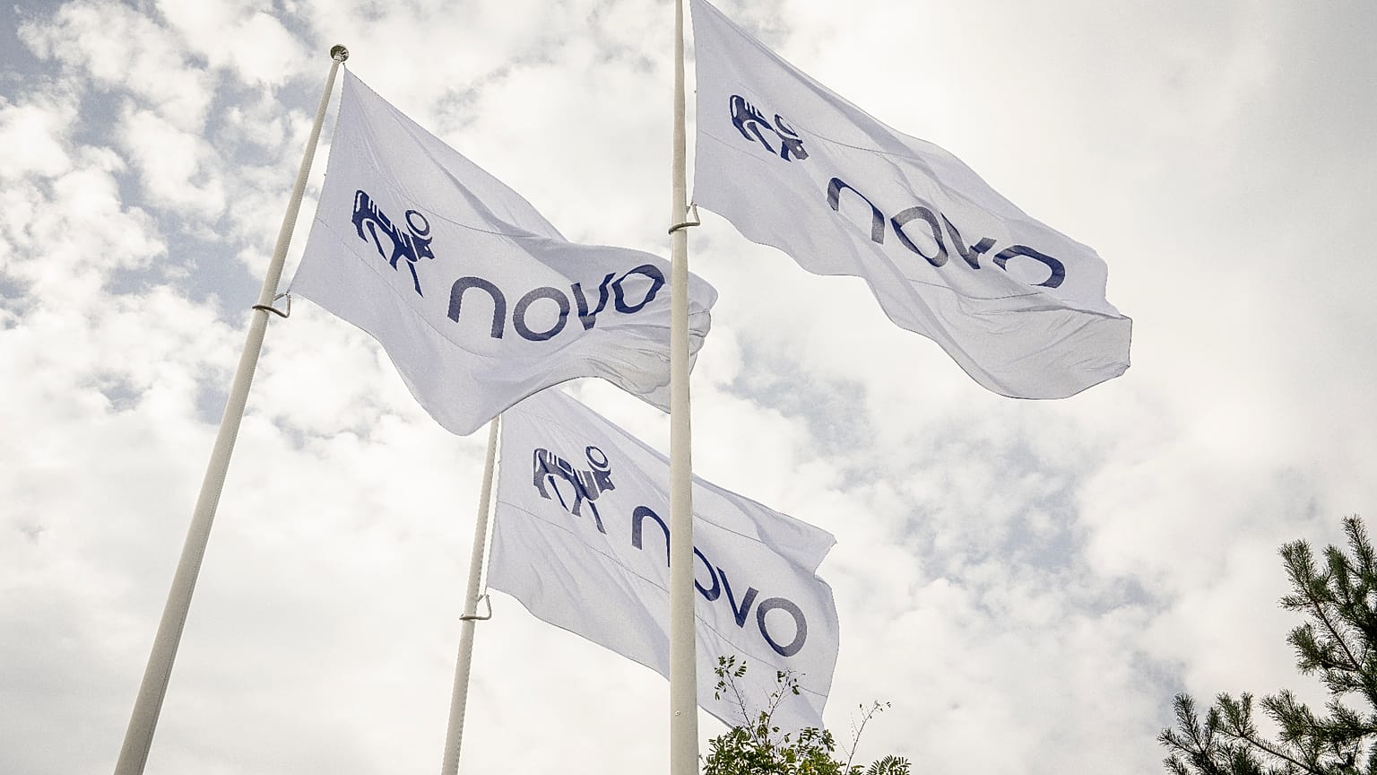Flagi z nowym logo firmy Novo przed siedzibą w Bagsvaerd w Danii, wtorek 15 września 2026 r.
