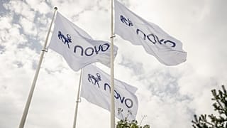Flags bear the new logo for Novo at the company's headquarters in Bagsvaerd, Denmark, on Tuesday, Sept. 15, 2026.