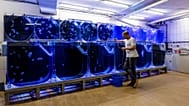 Die Jellyfish Farm wurde im Jahr 2019 von Alexander Dressel gegründet.