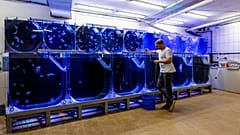 Die Jellyfish Farm wurde im Jahr 2019 von Alexander Dressel gegründet.