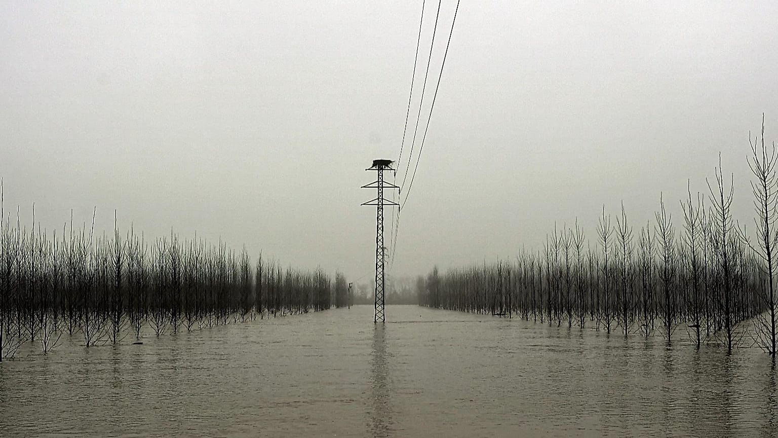 ARCHIVO: La niebla cubre el paisaje en una zona inundada cerca del río Ebro, en diciembre de 2021.