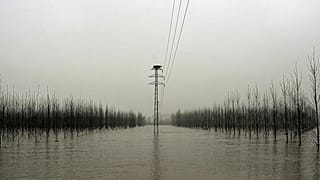 ARQUIVO: Nevoeiro cobre a paisagem numa zona inundada perto do rio Ebro, em dezembro de 2021.