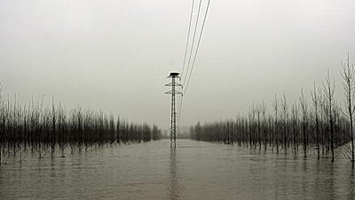 ARCHIVO: La niebla cubre el paisaje en una zona inundada cerca del río Ebro, en diciembre de 2021.