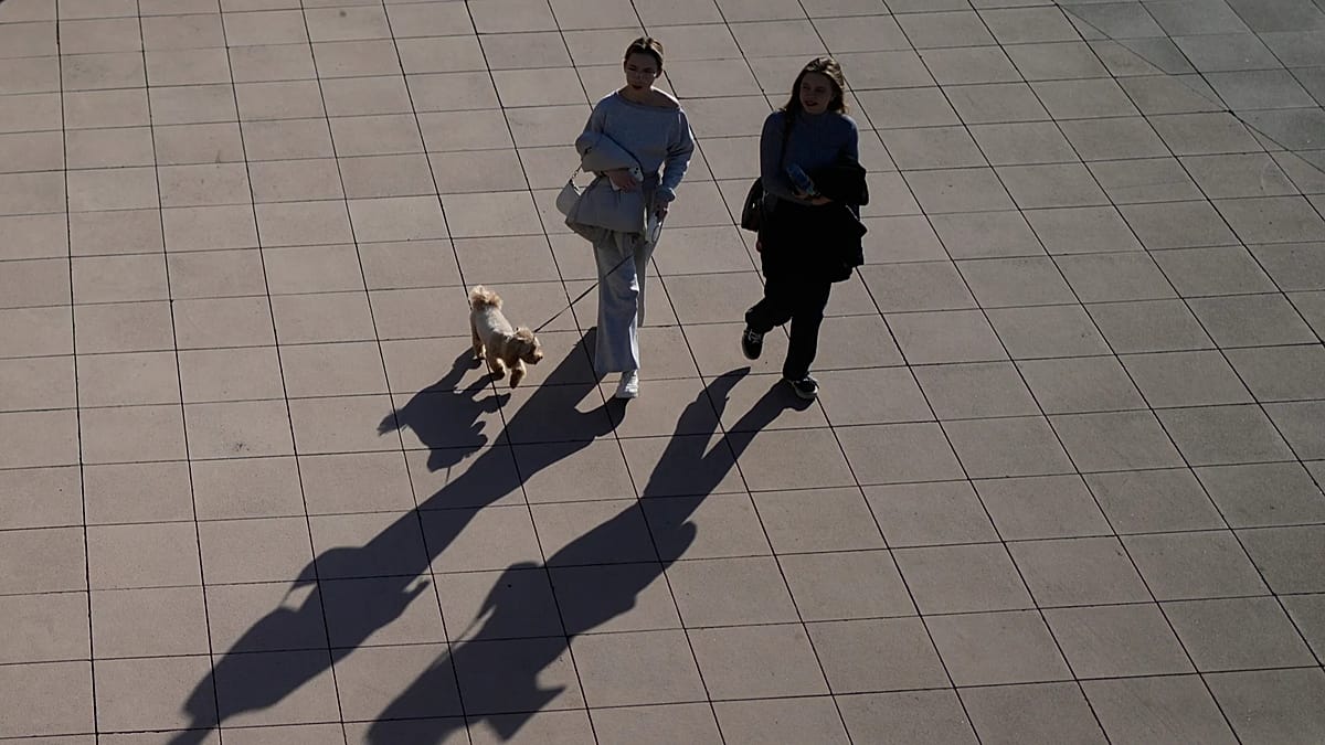 Russia's top-selling dog vaccine linked to spate of pet deaths across the country