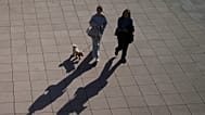 People are walking a dog in Moscow