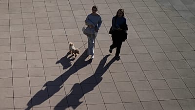 Menschen gehen in Moskau mit einem Hund spazieren.