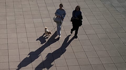 People are walking a dog in Moscow