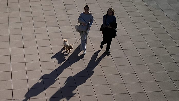 Russia's top-selling dog vaccine linked to spate of pet deaths across the country