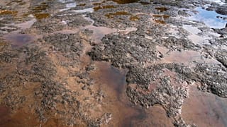 Congo : l’exploitation pétrolière accusée de polluer le Kouilou