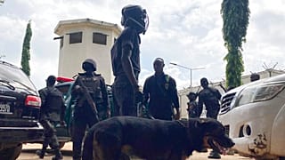 At least 37 illegal mining suspects found dead in Nigerian custody