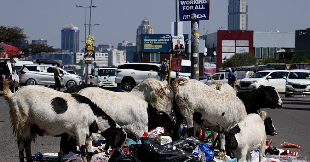Afrique du Sud : la gestion des déchets dépassée par la croissance des villes