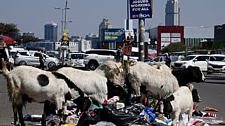 Afrique du Sud : la gestion des déchets dépassée par la croissance des villes