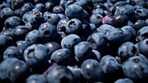 Les myrtilles zimbabwéennes à la conquête de la Chine