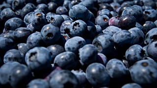 Zimbabwe farmers seek funds to cash in on China blueberry boom
