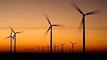 La guerre au Moyen-Orient pousse à la transition vers des énergies renouvelables