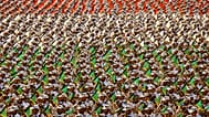 اقدامات جدید آمریکا علیه سپاه پاسداران ایران