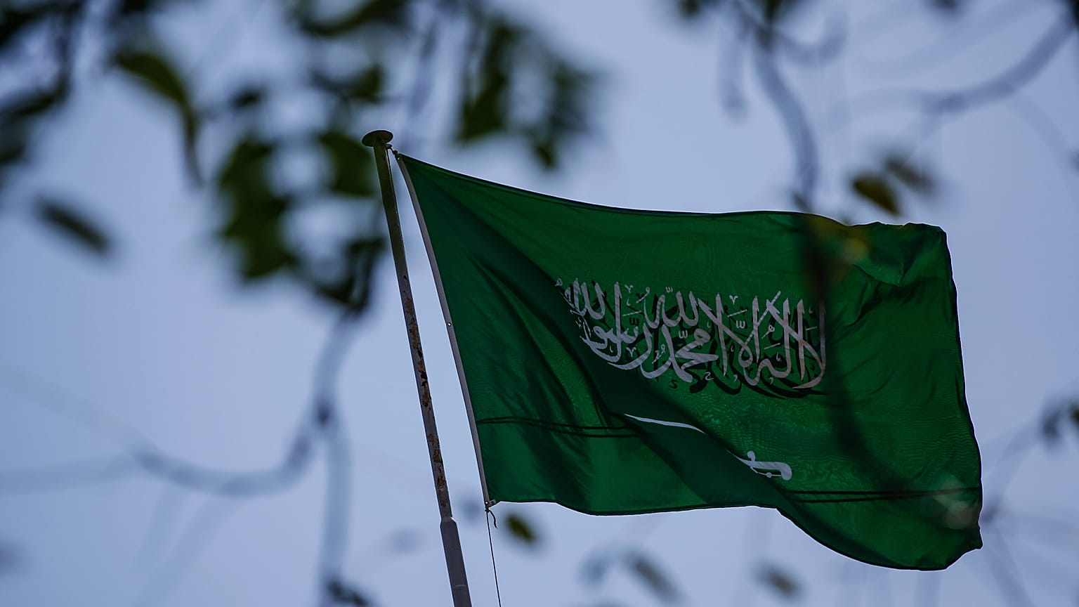 علم المملكة العربية السعودية