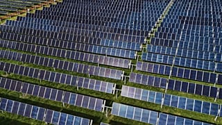 Parque solar nos Estados Unidos: transição energética é um dos grandes desafios atuais