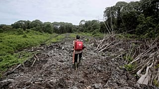 Brazil transforms waste palm oil into green energy