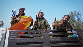 Ethiopia: Seven armed groups form anti-government alliance