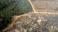 Deforestation is seen near the city of Santarem in the Brazilian state of Para, Dec. 2, 2004.