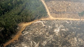 Deforestation is seen near the city of Santarem in the Brazilian state of Para, Dec. 2, 2004.