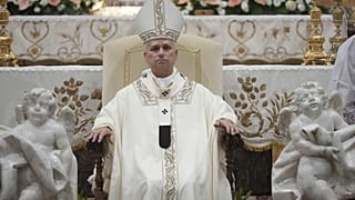 Le pape Léon XIV célèbre une messe à la basilique sanctuaire de la Mère du Bon Conseil à Genazzano, dans le centre de l'Italie, le lundi 7 septembre 2026.