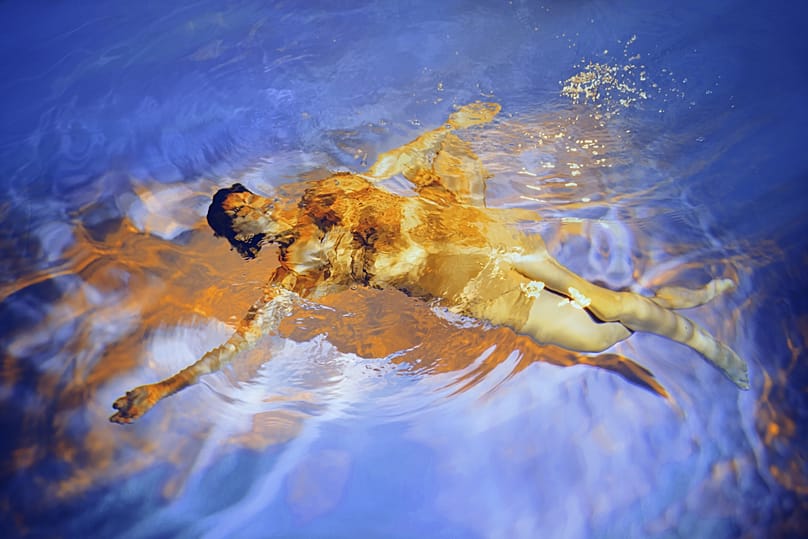 Marta Syrko, "Immersion: Seeing Otherwise" 