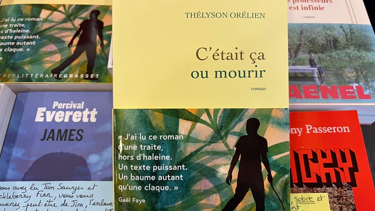 "C'était ça ou mourir", literary sensation faces claims of using AI