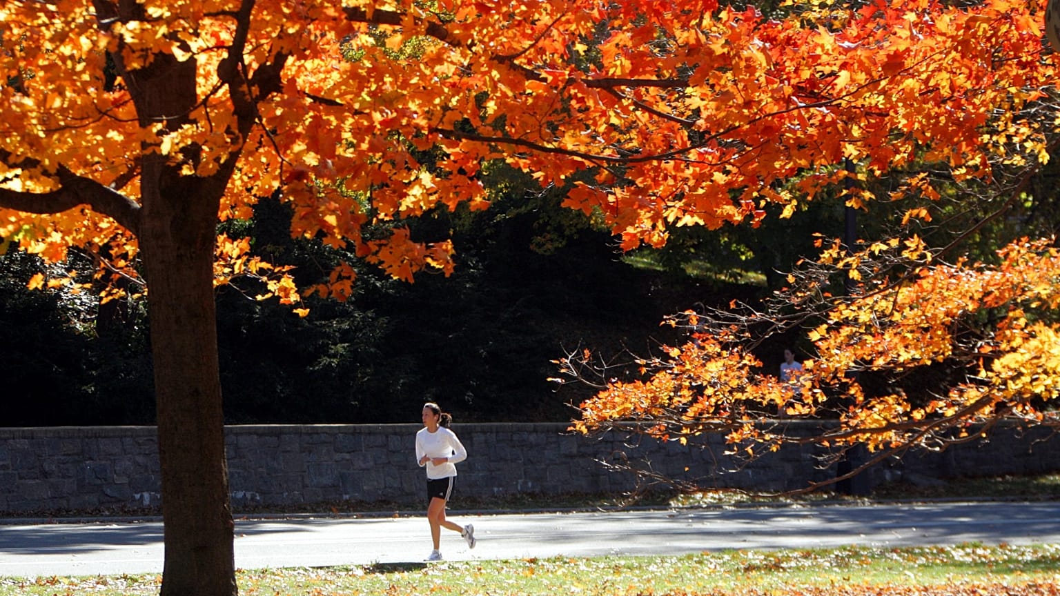 Hitze im Herbst? Ende September könnte es in Deutschland noch einmal bis zu 30 Grad warm werden.