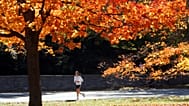 Hitze im Herbst? Ende September könnte es in Deutschland noch einmal bis zu 30 Grad warm werden.