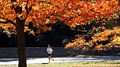 Hitze im Herbst? Ende September könnte es in Deutschland noch einmal bis zu 30 Grad warm werden.