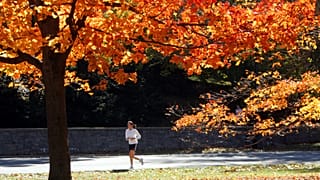 Hitze im Herbst? Ende September könnte es in Deutschland noch einmal bis zu 30 Grad warm werden.
