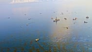 La crisis de la Deepwater Horizon sigue siendo la mayor marea negra de la historia